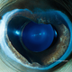 Illustration for article titled The eyes of animals look a lot like alien worlds